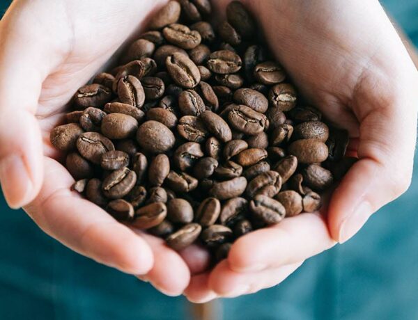 Ihr Kaffee Ratgeber: Der ultimative Leitfaden durch den Kaffeedschungel