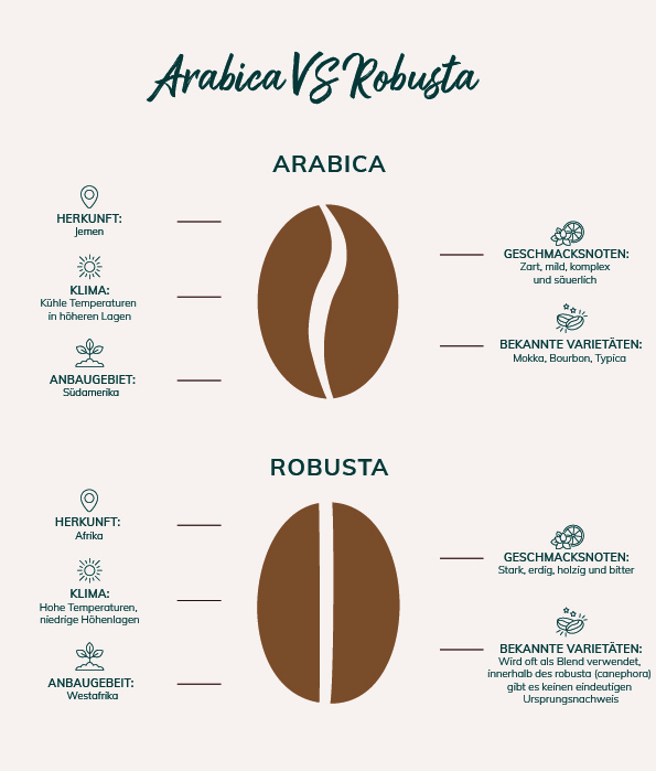 arabica vs robusta